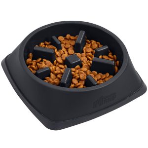 Slow Feeder Bowl