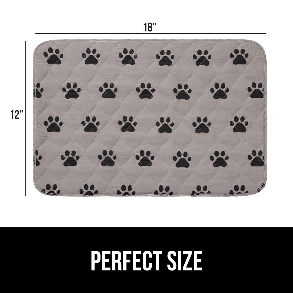 Incontinence Paw - Image 2