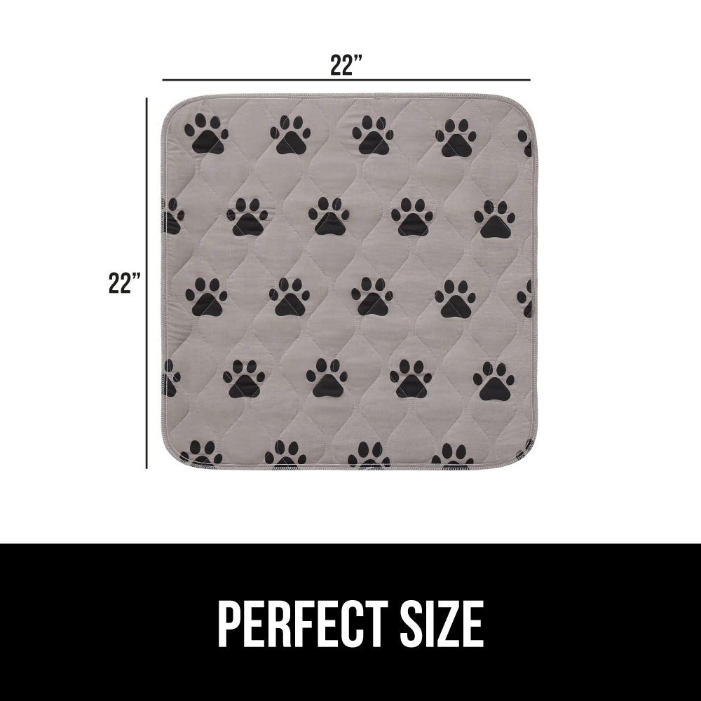 Incontinence Paw - Image 3