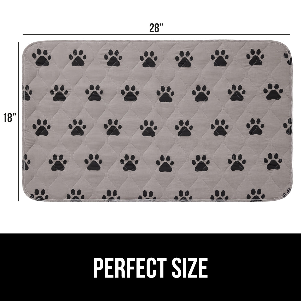 Incontinence Paw - Image 4