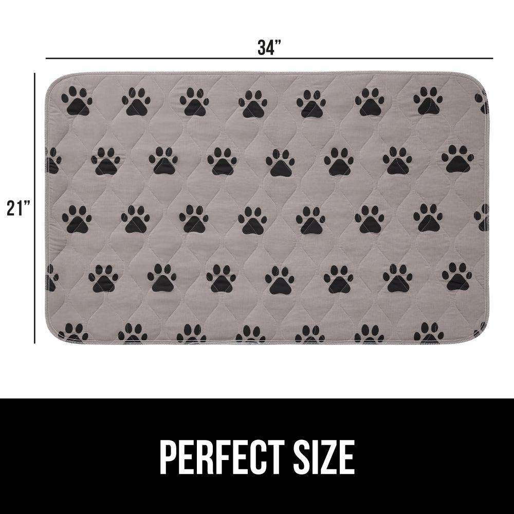 Incontinence Paw - Image 5