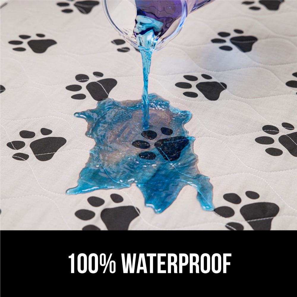 Incontinence Paw - Image 7