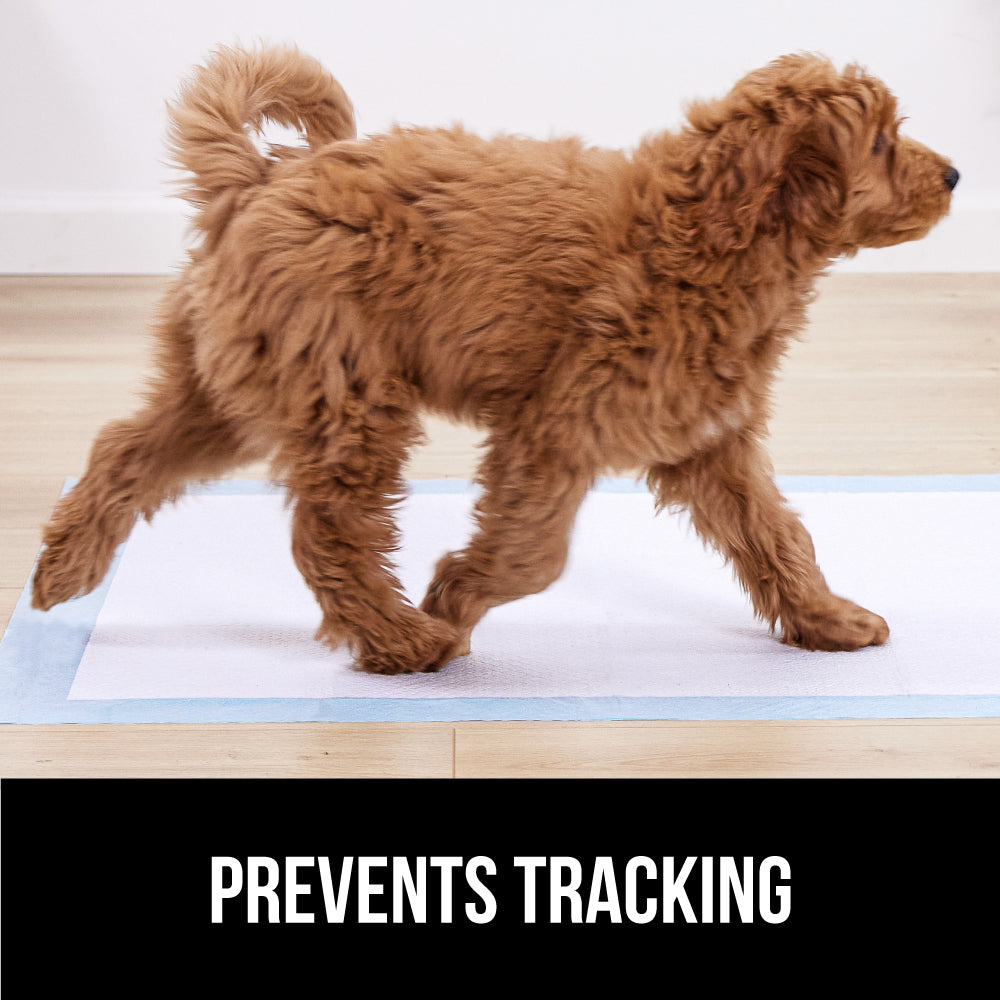 Gorilla Guard Disposable Pet Pads - Image 5
